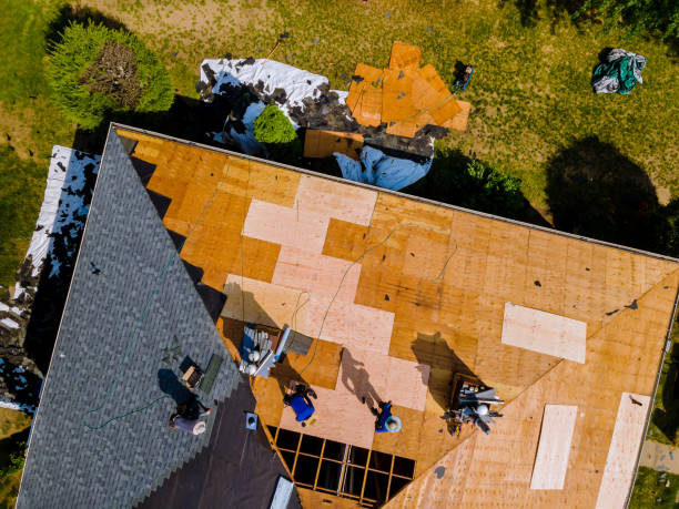 Best Storm Damage Roof Repair  in Rochelle, IL