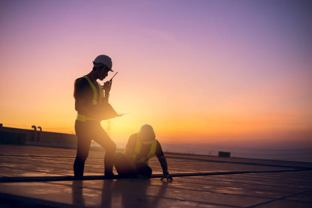 Best Roof Gutter Cleaning  in Rochelle, IL