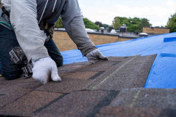 Quick and Trustworthy Emergency Roof Repair Services in Rochelle, IL