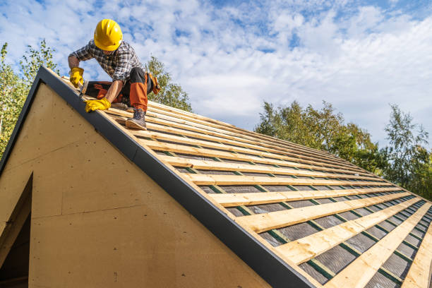 Best Commercial Roofing Services  in Rochelle, IL