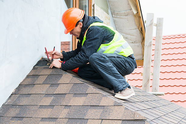 Best Local Roofing Companies  in Rochelle, IL